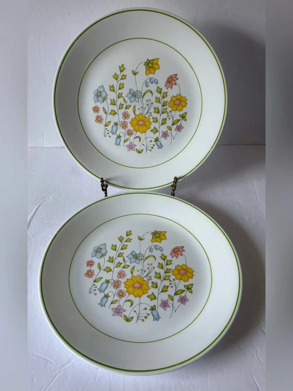 Corelle Spring Meadow Floral Dinner Plates 10.25” set of 2
